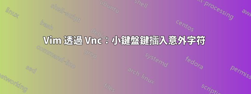 Vim 透過 Vnc：小鍵盤鍵插入意外字符