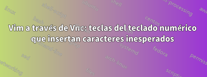 Vim a través de Vnc: teclas del teclado numérico que insertan caracteres inesperados