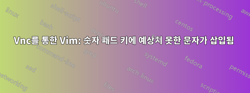 Vnc를 통한 Vim: 숫자 패드 키에 예상치 못한 문자가 삽입됨