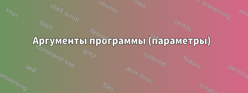 Аргументы программы (параметры) 