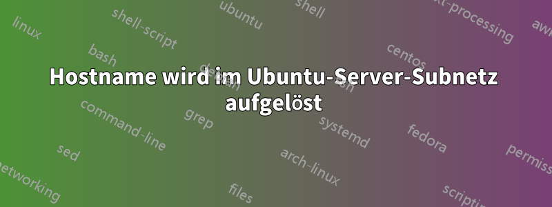 Hostname wird im Ubuntu-Server-Subnetz aufgelöst