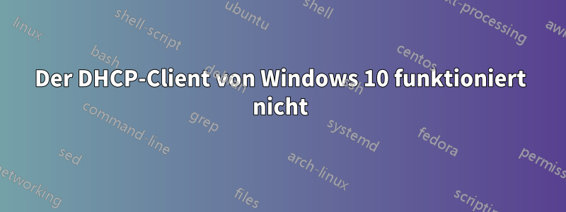 Der DHCP-Client von Windows 10 funktioniert nicht