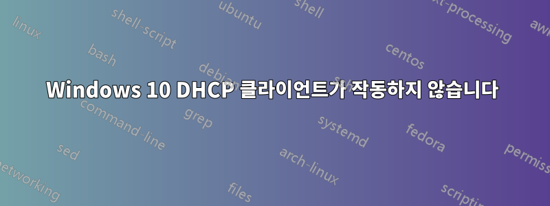 Windows 10 DHCP 클라이언트가 작동하지 않습니다