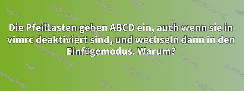 Die Pfeiltasten geben ABCD ein, auch wenn sie in vimrc deaktiviert sind, und wechseln dann in den Einfügemodus. Warum?