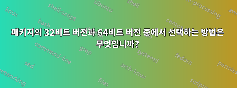 패키지의 32비트 버전과 64비트 버전 중에서 선택하는 방법은 무엇입니까?