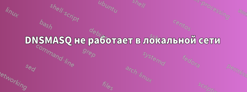 DNSMASQ не работает в локальной сети