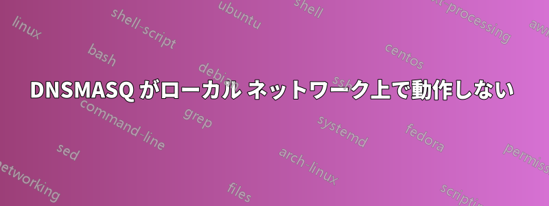 DNSMASQ がローカル ネットワーク上で動作しない