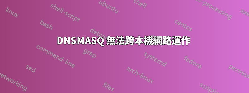 DNSMASQ 無法跨本機網路運作