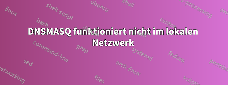 DNSMASQ funktioniert nicht im lokalen Netzwerk