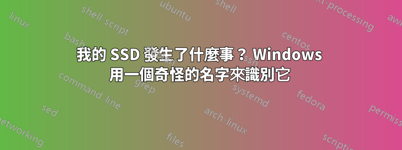 我的 SSD 發生了什麼事？ Windows 用一個奇怪的名字來識別它