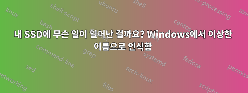 내 SSD에 무슨 일이 일어난 걸까요? Windows에서 이상한 이름으로 인식함