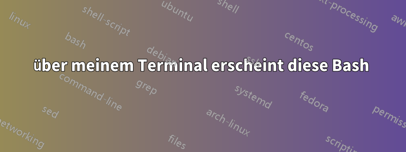 über meinem Terminal erscheint diese Bash