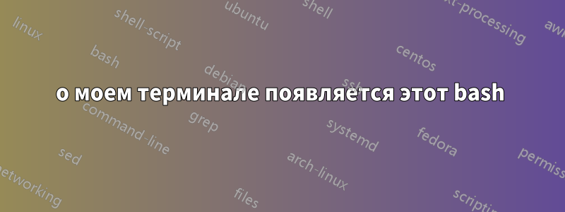 о моем терминале появляется этот bash