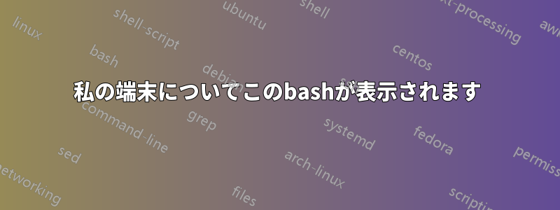 私の端末についてこのbashが表示されます