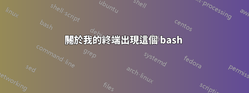 關於我的終端出現這個 bash