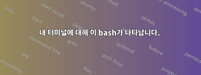 내 터미널에 대해 이 bash가 나타납니다.