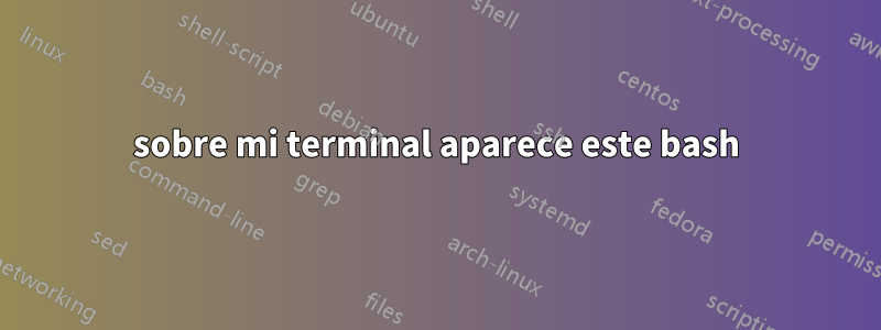 sobre mi terminal aparece este bash