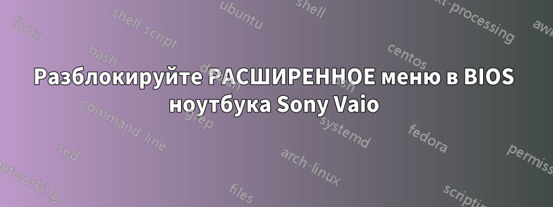 Разблокируйте РАСШИРЕННОЕ меню в BIOS ноутбука Sony Vaio