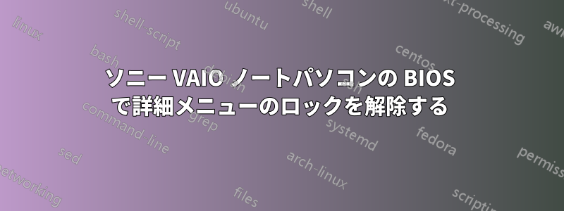 ソニー VAIO ノートパソコンの BIOS で詳細メニューのロックを解除する