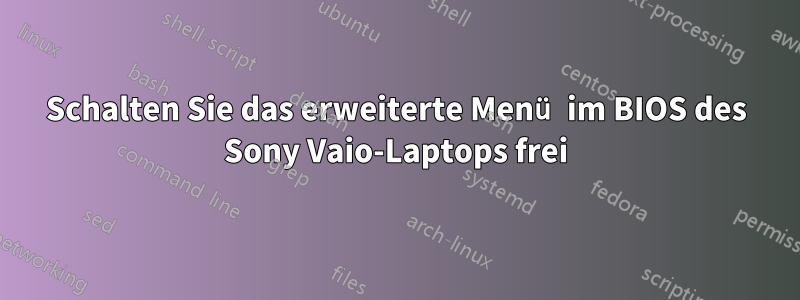 Schalten Sie das erweiterte Menü im BIOS des Sony Vaio-Laptops frei