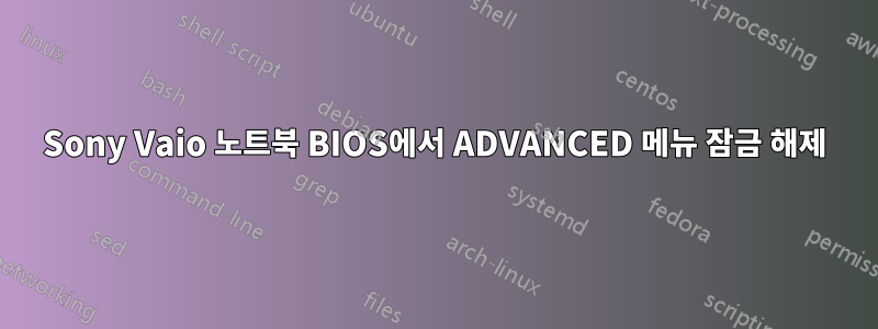 Sony Vaio 노트북 BIOS에서 ADVANCED 메뉴 잠금 해제