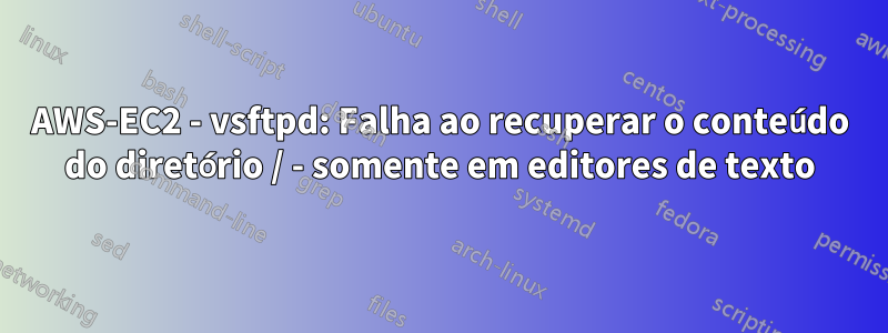 AWS-EC2 - vsftpd: Falha ao recuperar o conteúdo do diretório / - somente em editores de texto