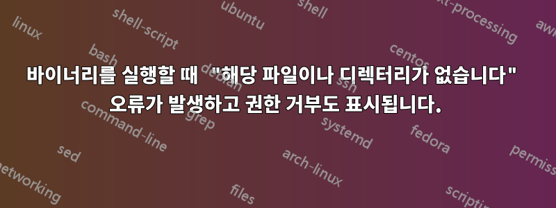 바이너리를 실행할 때 "해당 파일이나 디렉터리가 없습니다" 오류가 발생하고 권한 거부도 표시됩니다.