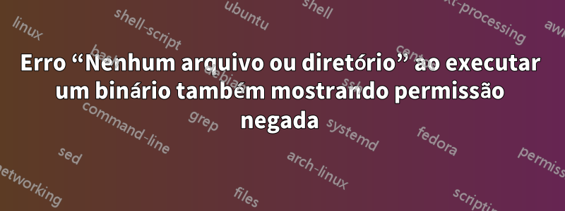 Erro “Nenhum arquivo ou diretório” ao executar um binário também mostrando permissão negada