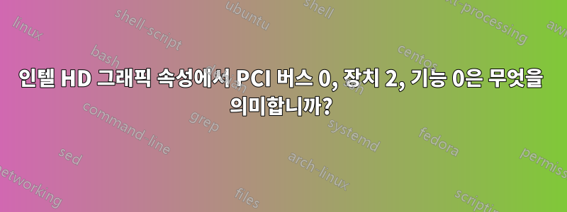 인텔 HD 그래픽 속성에서 PCI 버스 0, 장치 2, 기능 0은 무엇을 의미합니까?