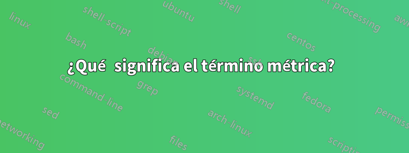 ¿Qué significa el término métrica? 