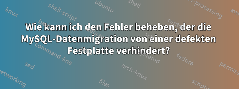 Wie kann ich den Fehler beheben, der die MySQL-Datenmigration von einer defekten Festplatte verhindert?