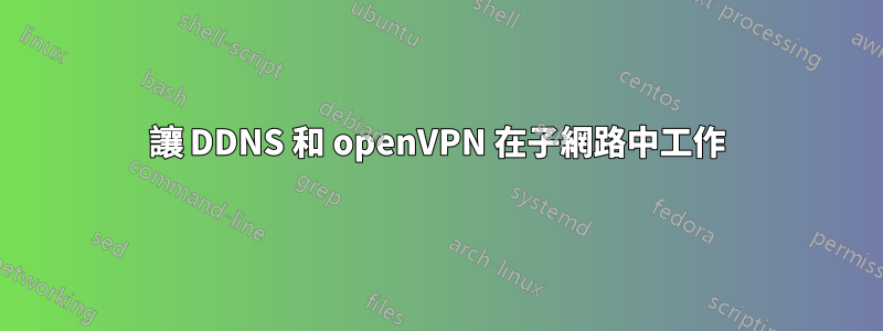 讓 DDNS 和 openVPN 在子網路中工作