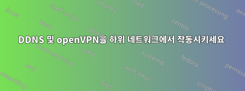 DDNS 및 openVPN을 하위 네트워크에서 작동시키세요