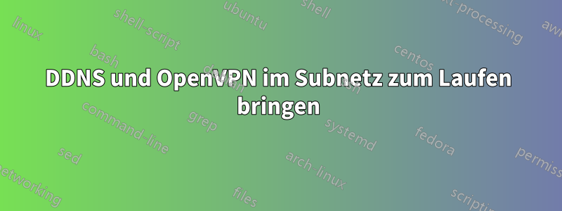 DDNS und OpenVPN im Subnetz zum Laufen bringen