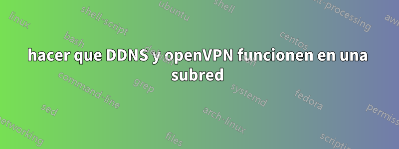 hacer que DDNS y openVPN funcionen en una subred