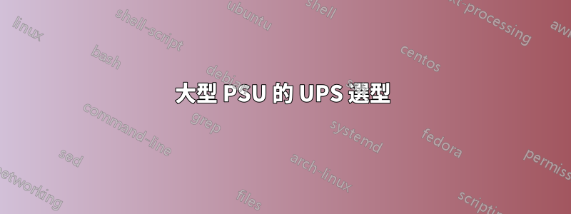 大型 PSU 的 UPS 選型