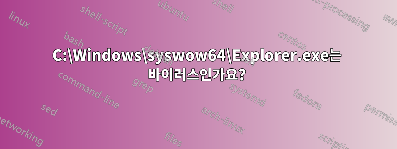 C:\Windows\syswow64\Explorer.exe는 바이러스인가요?