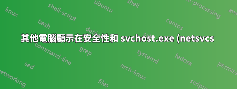 其他電腦顯示在安全性和 svchost.exe (netsvcs) 下的網路活動中