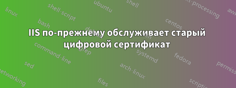 IIS по-прежнему обслуживает старый цифровой сертификат