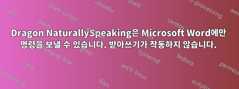 Dragon NaturallySpeaking은 Microsoft Word에만 명령을 보낼 수 있습니다. 받아쓰기가 작동하지 않습니다.