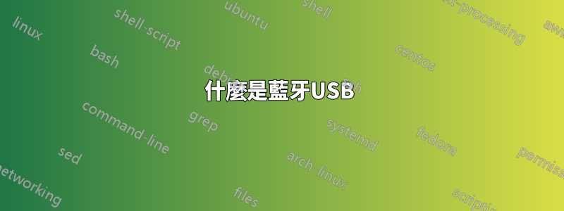 什麼是藍牙USB