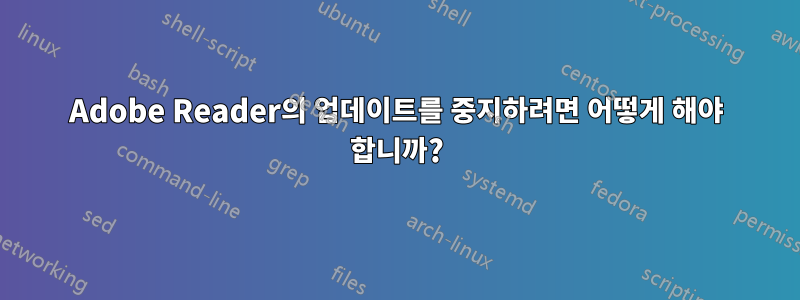 Adobe Reader의 업데이트를 중지하려면 어떻게 해야 합니까?