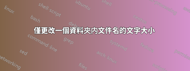 僅更改一個資料夾內文件名的文字大小