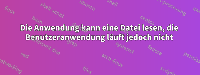 Die Anwendung kann eine Datei lesen, die Benutzeranwendung läuft jedoch nicht