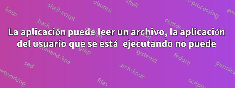 La aplicación puede leer un archivo, la aplicación del usuario que se está ejecutando no puede