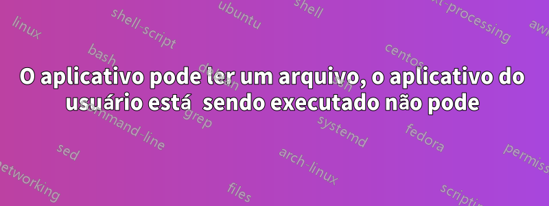 O aplicativo pode ler um arquivo, o aplicativo do usuário está sendo executado não pode