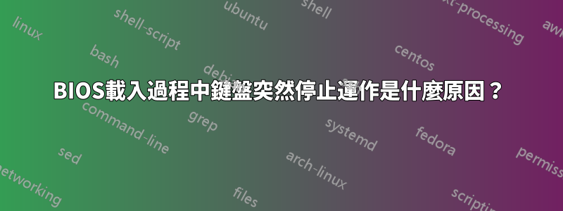 BIOS載入過程中鍵盤突然停止運作是什麼原因？
