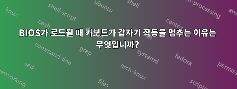 BIOS가 로드될 때 키보드가 갑자기 작동을 멈추는 이유는 무엇입니까?