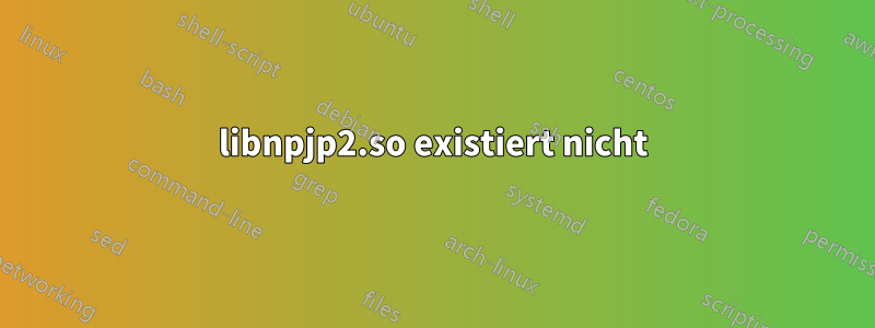 libnpjp2.so existiert nicht