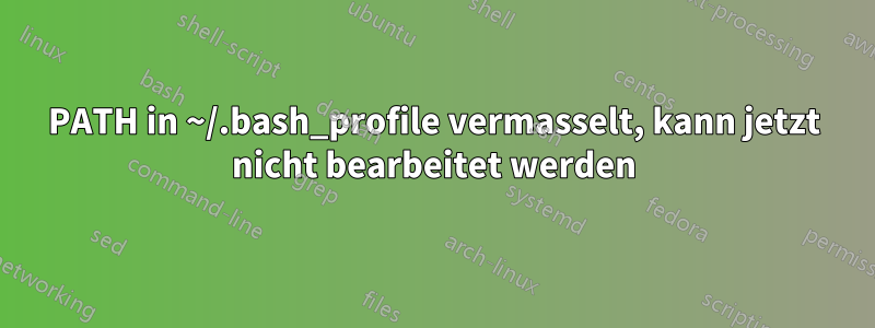 PATH in ~/.bash_profile vermasselt, kann jetzt nicht bearbeitet werden